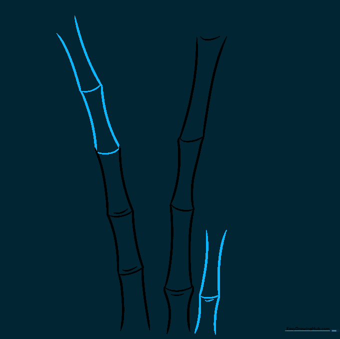 Three bamboo stalks of varying heights sketched on paper.