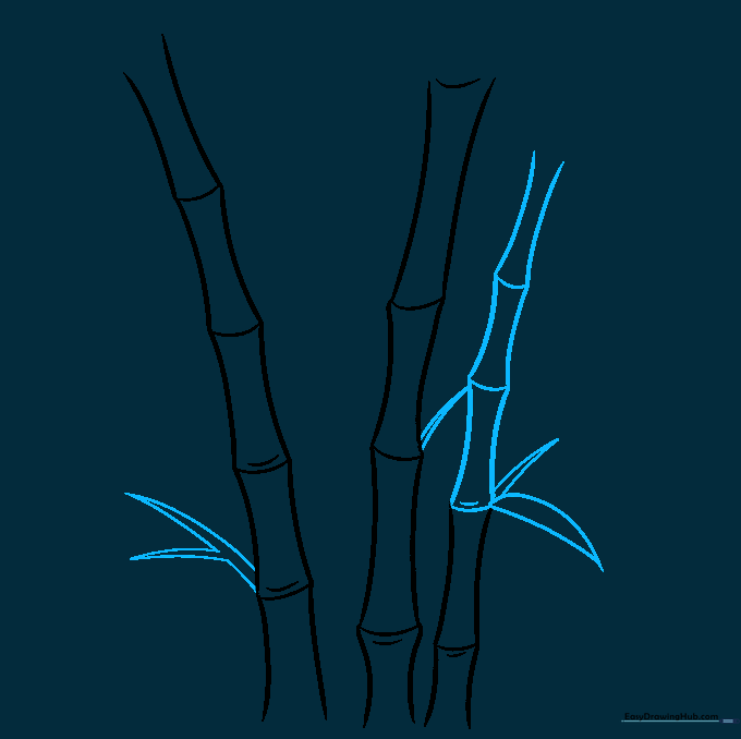 Bamboo stalks with the first few pointed leaves attached to the joints.