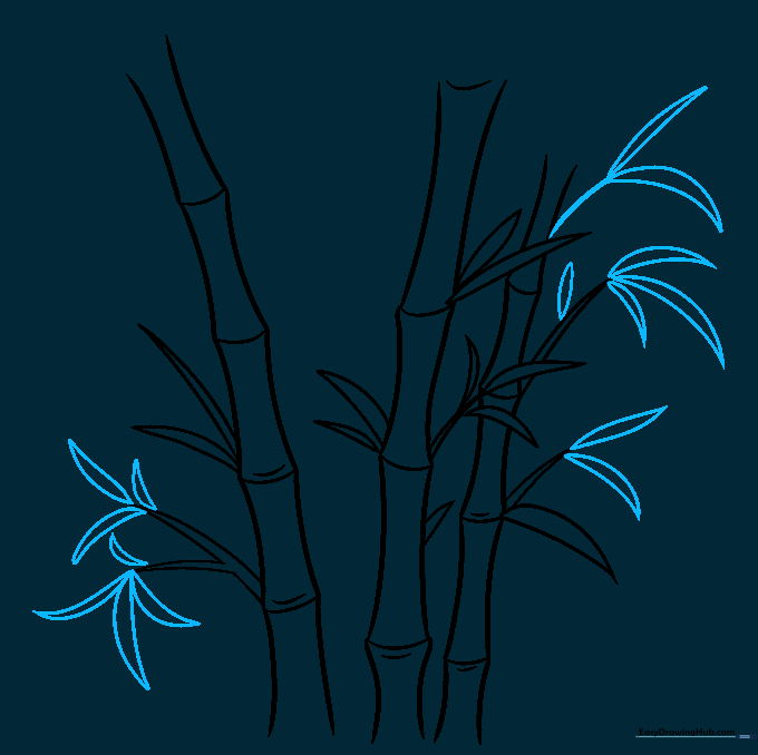 Detailed sketch of bamboo showing layered leaves and varied leaf directions.