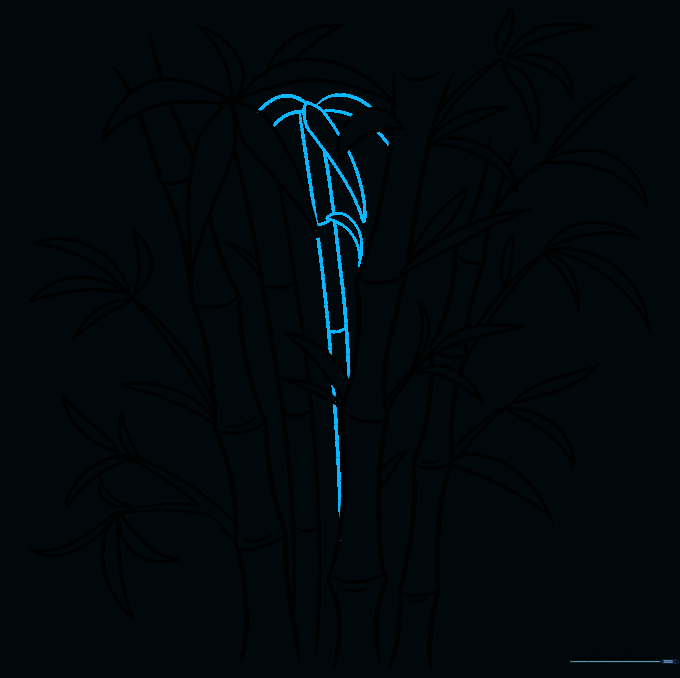 Completed line art of a bamboo forest cluster.