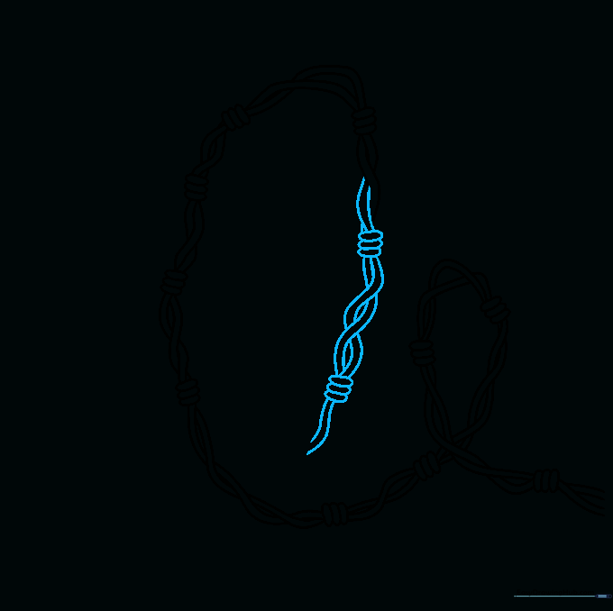 Drawing showing the continuation of the barbed wire strand with added knots and twisted segments.