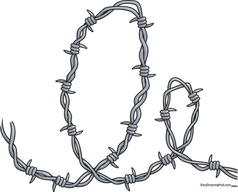 A detailed, finished illustration of a coil of barbed wire, showcasing sharp barbs and twisted metal texture.