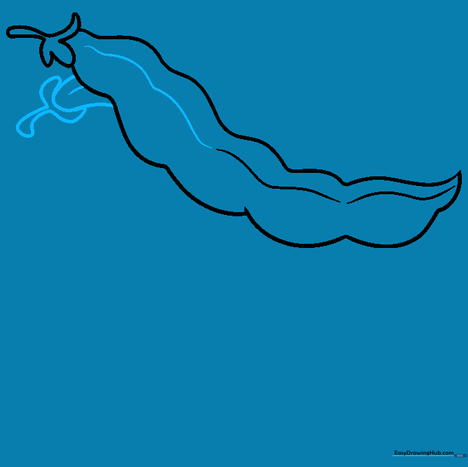 A second bean pod is drawn behind the first, demonstrating the technique of overlapping shapes.