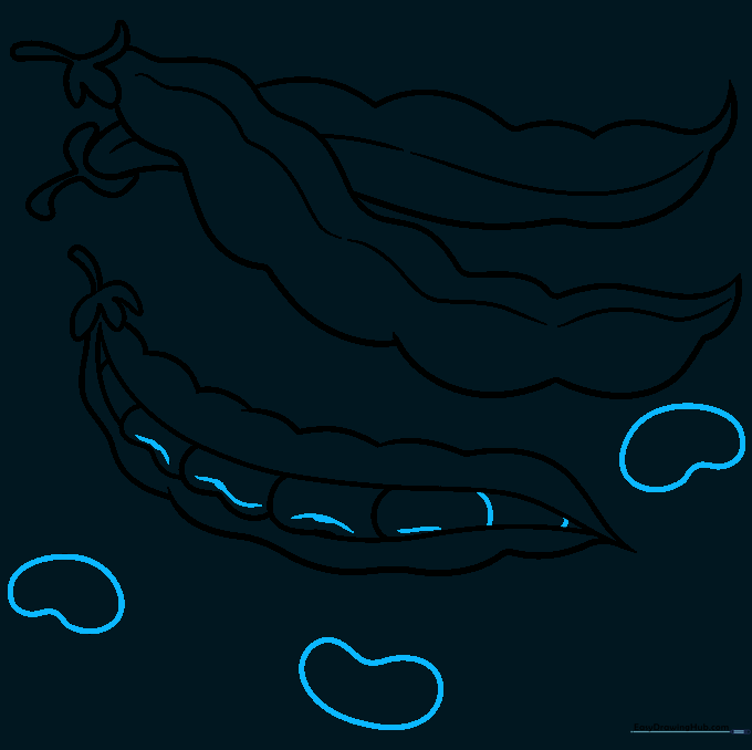 Detailed lines are added to the beans, and loose beans are drawn near the pods.