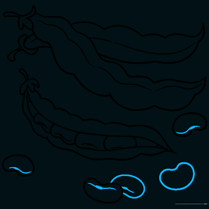 The final line art for the bean drawing, showing clean, bold outlines.