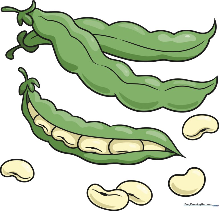 A vibrant, finished illustration of several bean pods and loose beans, showcasing the final result of the tutorial.