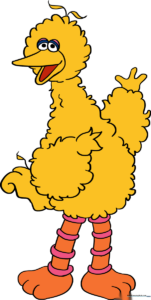 A colorful, finished illustration of Big Bird standing tall, ready for a drawing lesson.