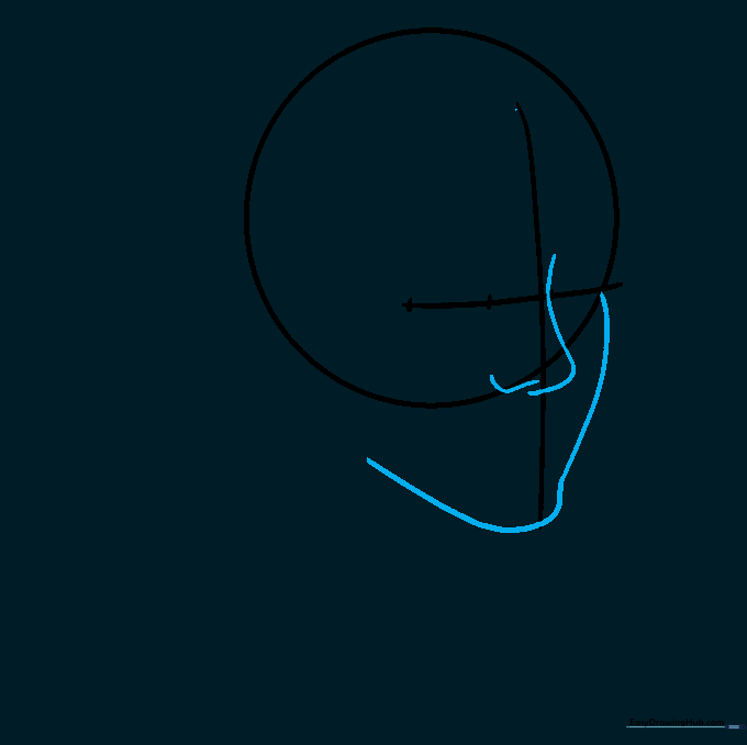 Drawing the nose bridge and chin outline using the center guide lines.
