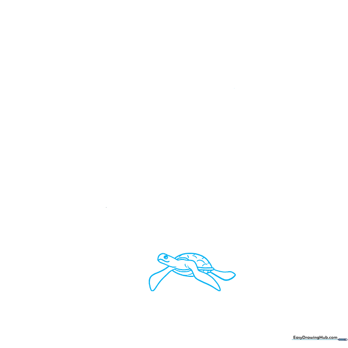 Line drawing of a sea turtle with a smiling face and detailed shell, the first element of a biodiversity scene.