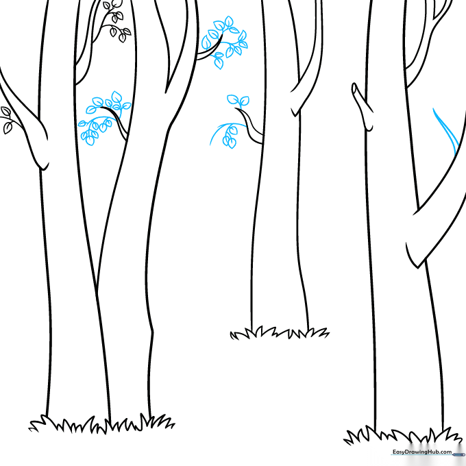 Drawing showing the expansion of the tree canopy with additional leaf clusters.