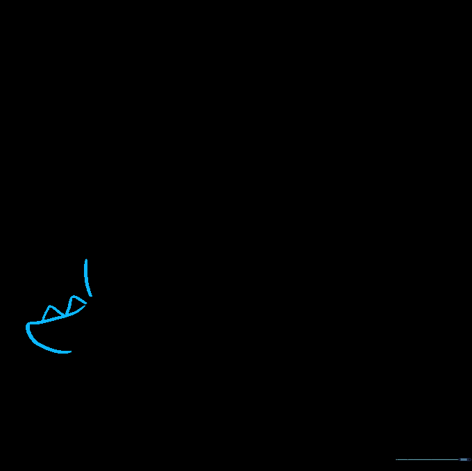 Illustration showing the completed shell outline and the addition of the tail.