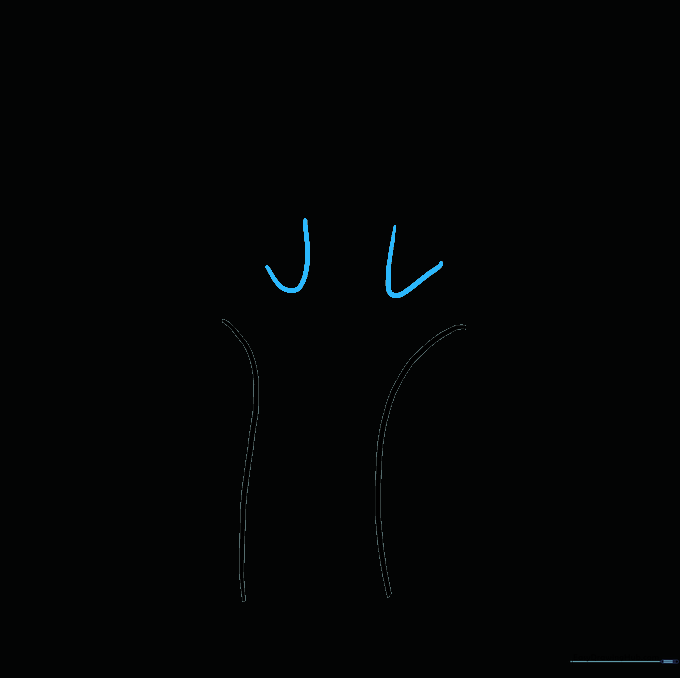Adding two U-shaped curves to the top of the stalk to define the broccoli branches.