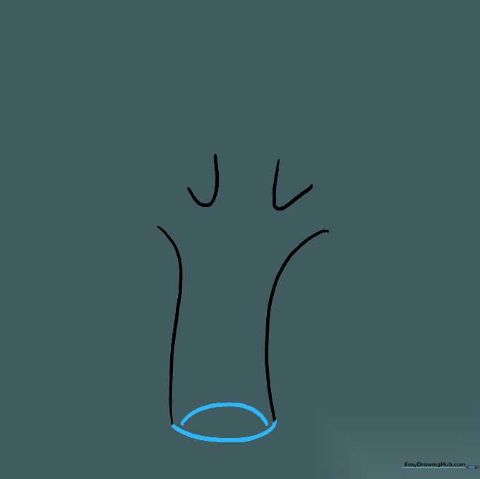 Drawing the bottom of the stalk with two curved lines to show the cut end.