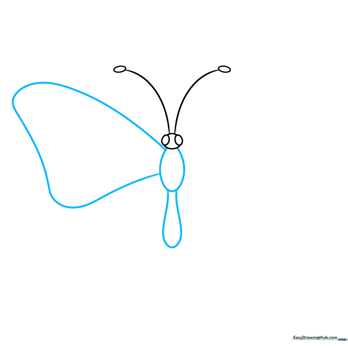 Butterfly body outline showing the thorax, abdomen, and the start of a wing.