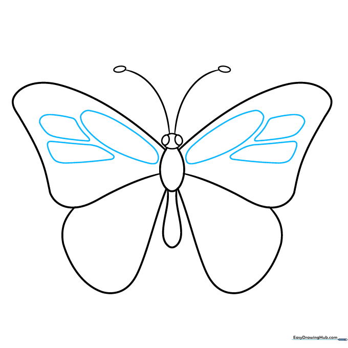 Butterfly wings with added geometric patterns and oval shapes.