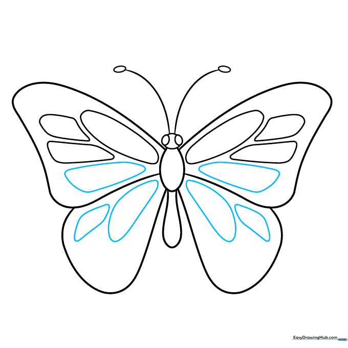 Detailed butterfly wings with additional interior shapes for texture.