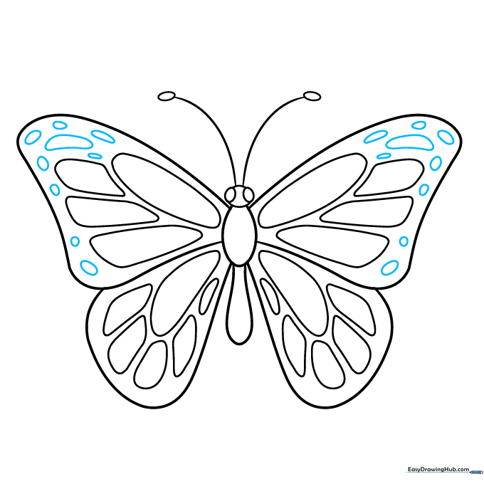 Butterfly wings with scalloped edges and small oval details.