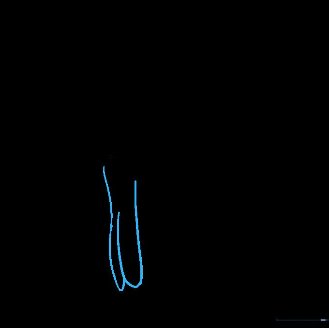 A long, curved J-shaped line extending from the body to create the cardinal's tail.