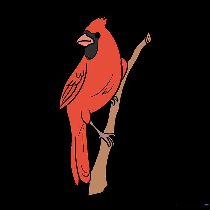 A fully colored cardinal bird with bright red plumage and a black facial mask.