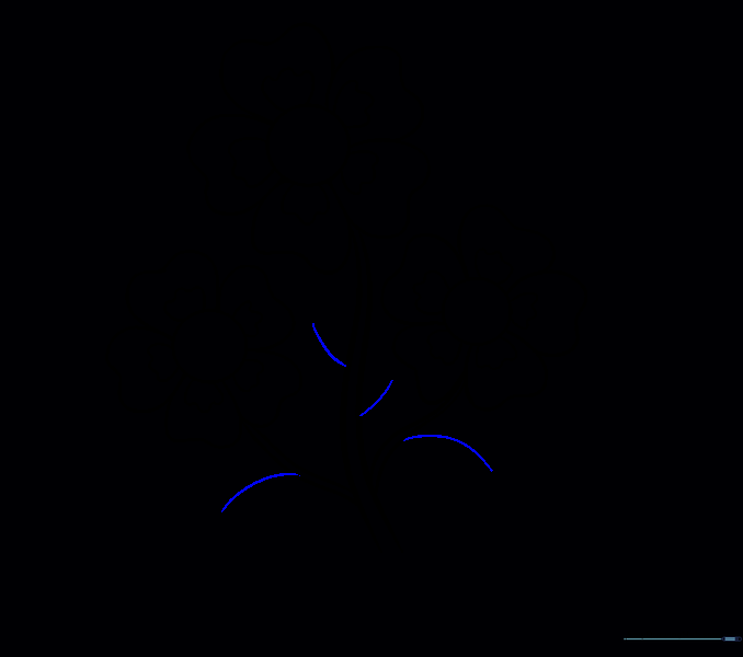 Drawing small curved lines to serve as the center veins for leaves.