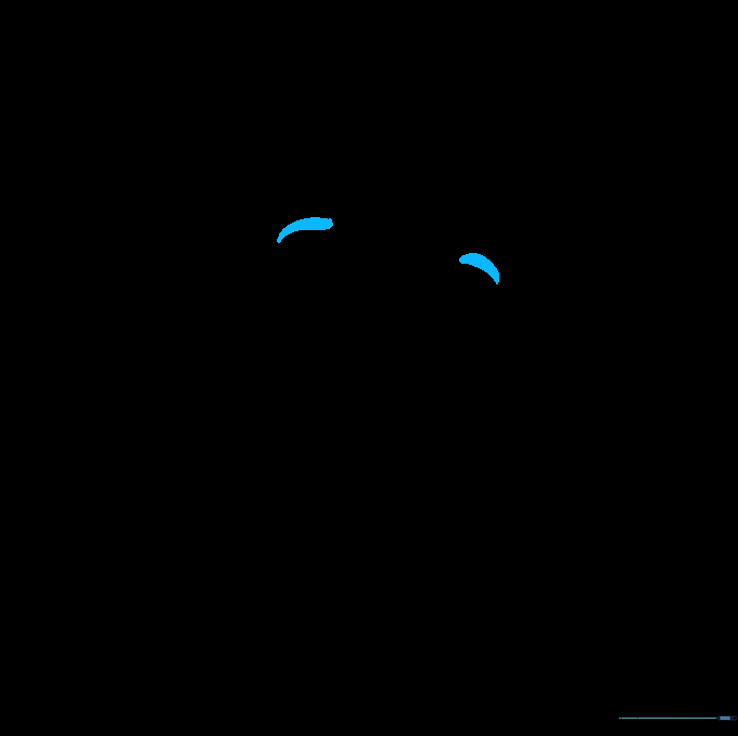 Adding two small curved lines above the eyes for eyebrows.