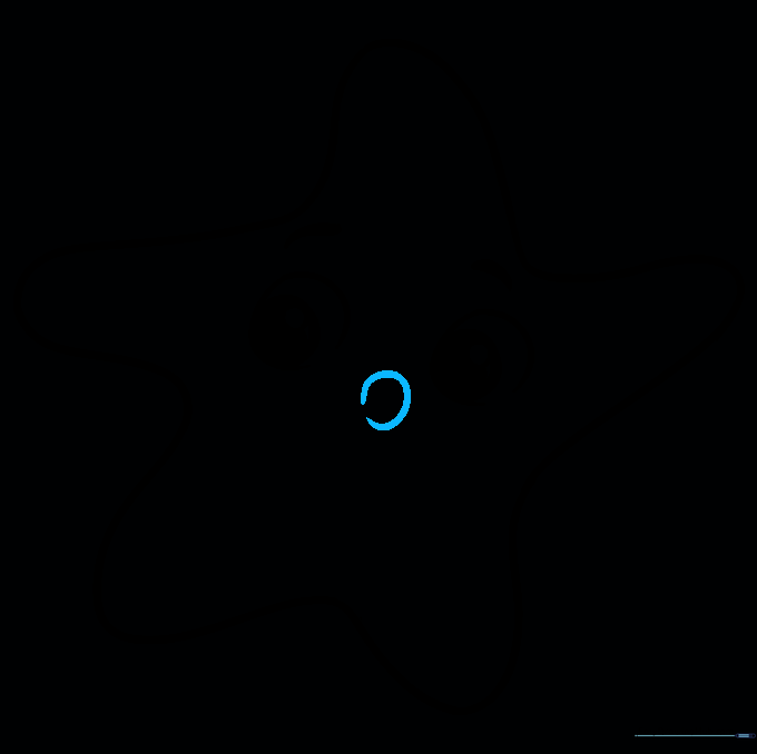Adding a small circular nose to the center of the star's face.