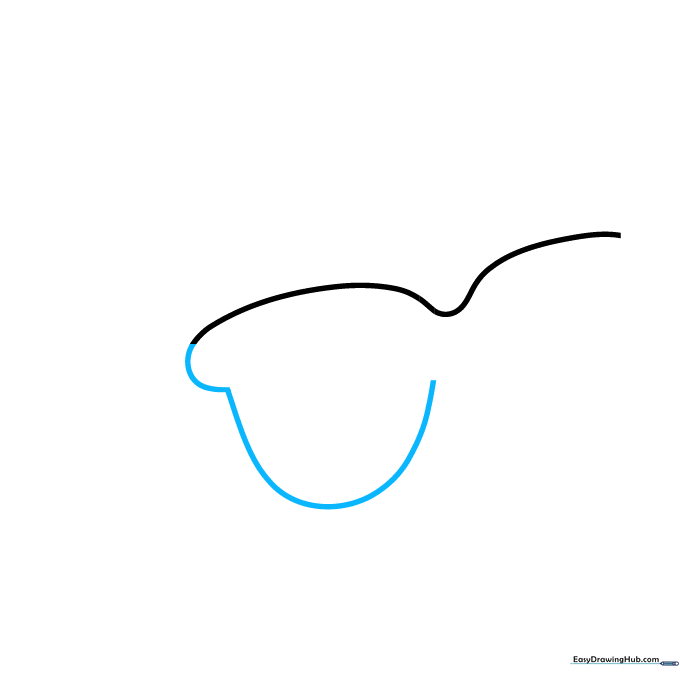 Outlining the frame of the sunglasses with C-shaped curves and a bottom connecting line.