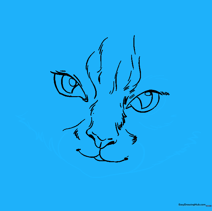Cat face outline showing textured cheeks and chin fur.