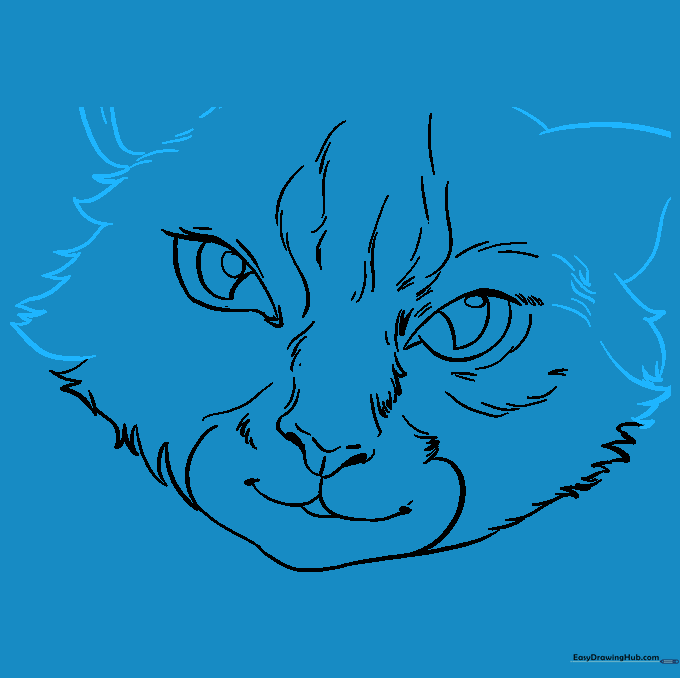 Full head outline of a cat with pointed ears and textured fur edges.