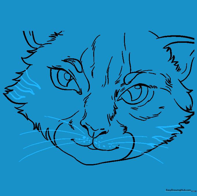 Finished line art of a cat face with whiskers and facial markings.