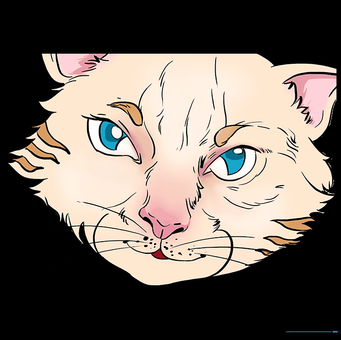 A fully colored and shaded illustration of a cat's face.