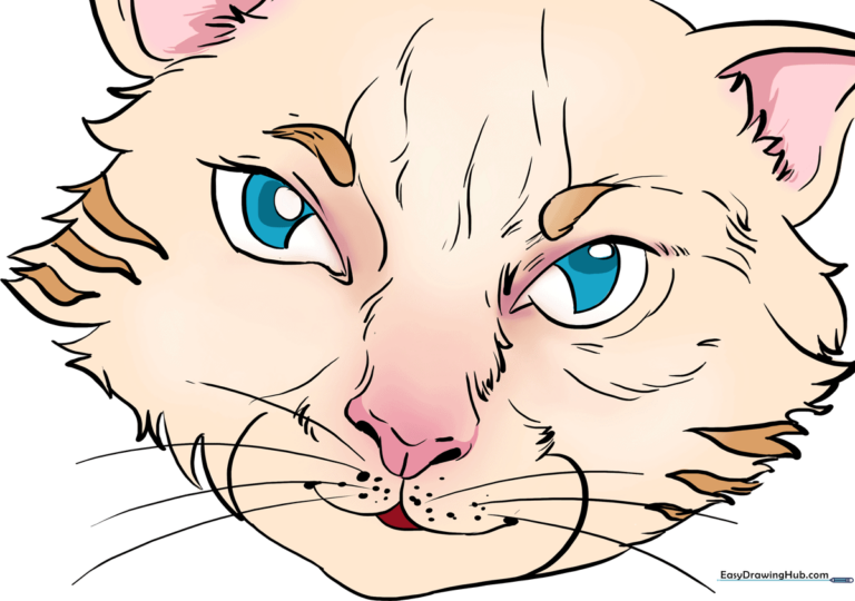 A vibrant, completed drawing of a cat's face showcasing detailed, expressive eyes.