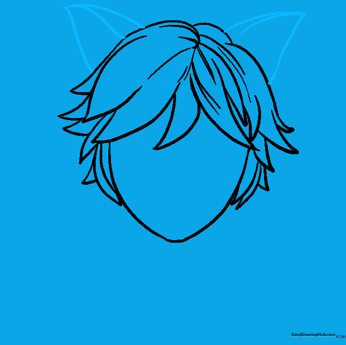 Adding triangular cat ears to the top of the head