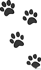 A colorful, finished drawing of a trail of cat paw prints on a clean background.