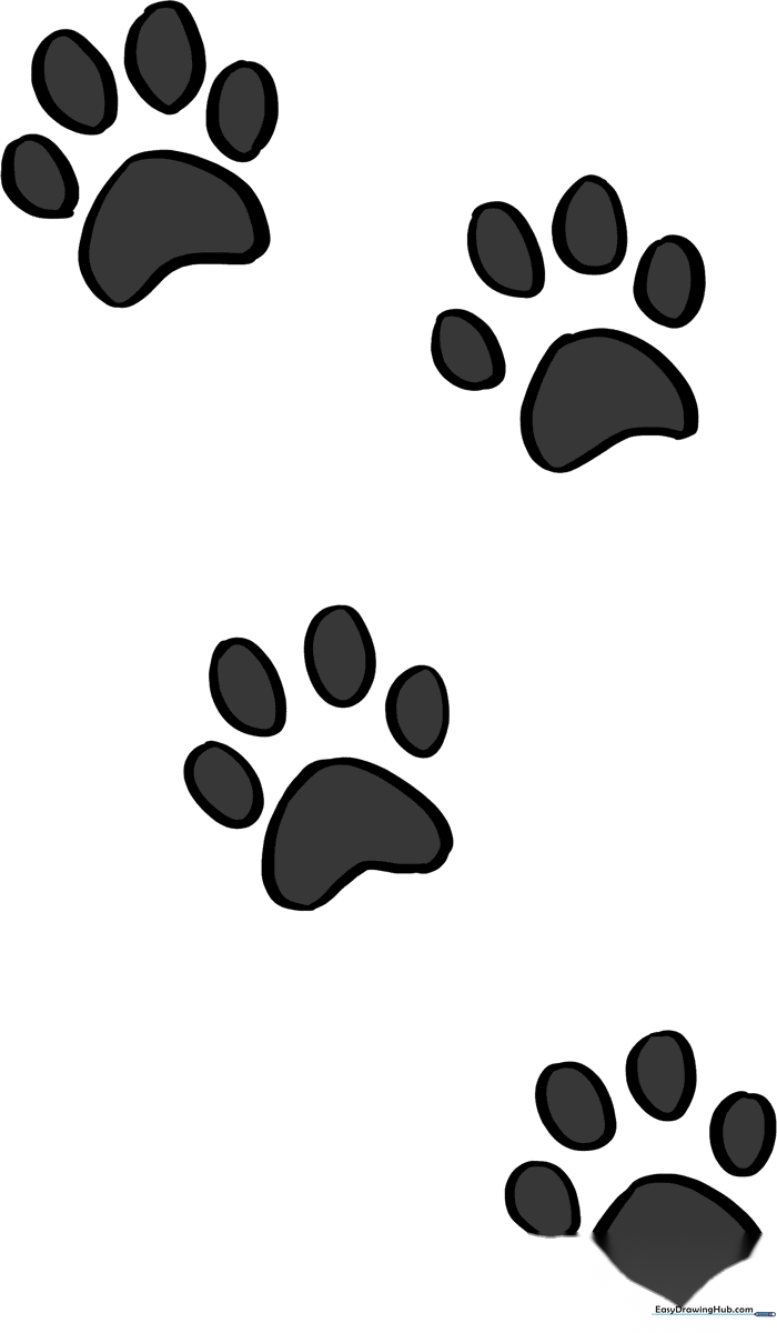 A colorful, finished drawing of a trail of cat paw prints on a clean background.