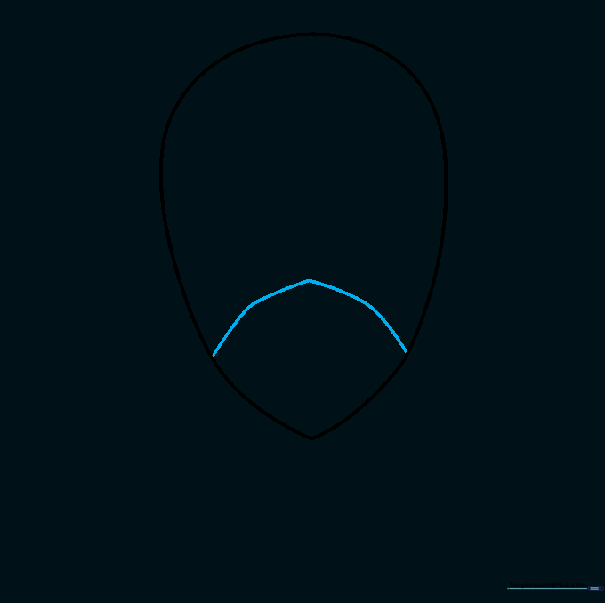 Adding two curved lines across the face shape to define the eye mask area.