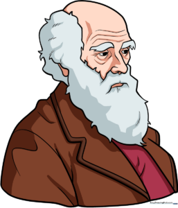 A finished, colored illustration of Charles Darwin, showcasing his iconic beard and Victorian attire.