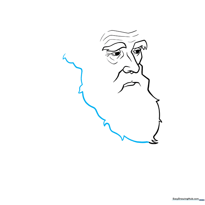 Pencil sketch showing the outline of the left side of Charles Darwin's face and beard.