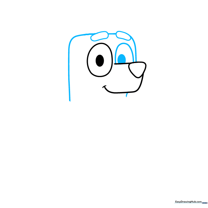 Outline of Chilli Heeler's head with eyebrows and facial structure added.