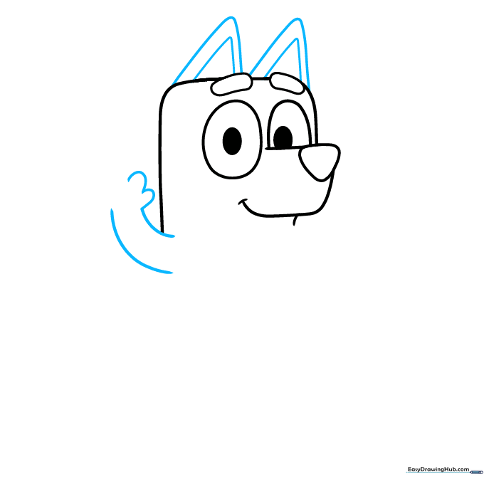 Chilli Heeler drawing showing triangular ears and the start of a waving arm.