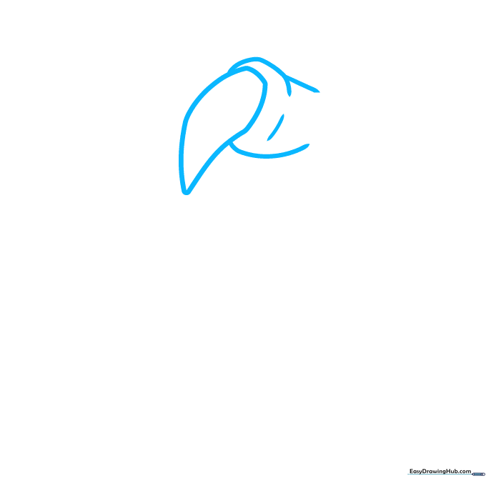A single teardrop-shaped claw sketch on white paper, showing the base nail structure.