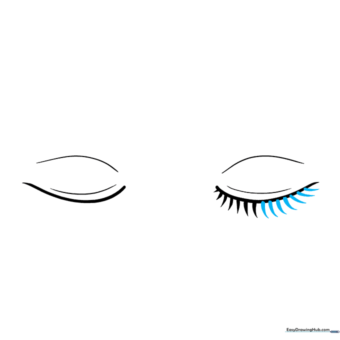 Finished set of eyelashes on one eye, tapering in length from the center.