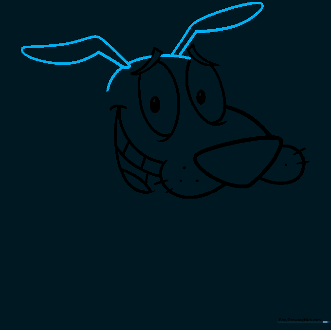 Outlining the top of the head and the long, floppy ears.