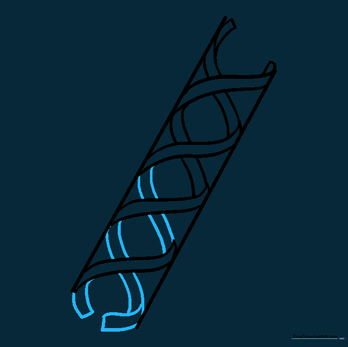 The full length of the DNA helix frame with capped ends.