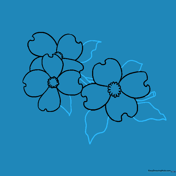 Drawing stems connecting the flowers and adding pointed, wavy-edged leaves to the composition.