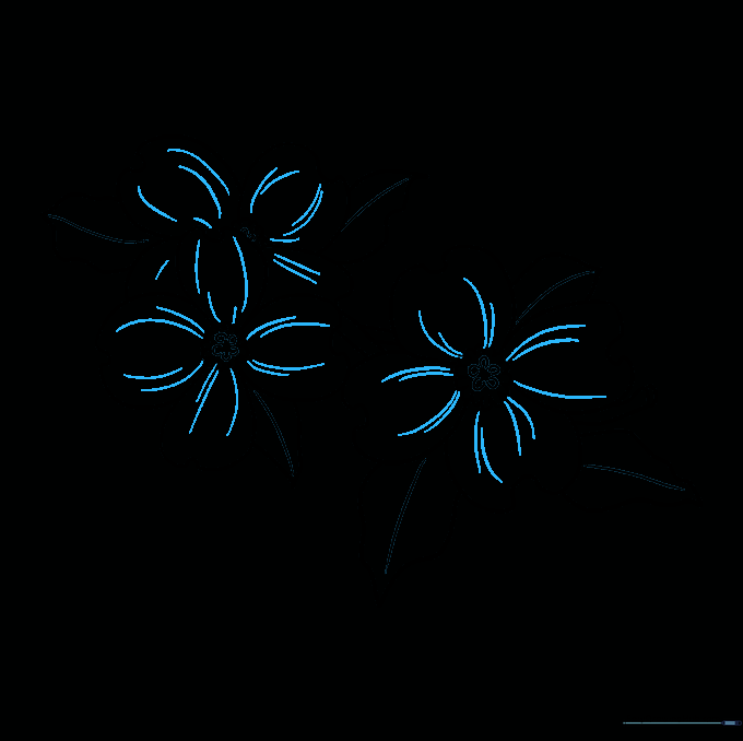 Pencil sketch showing light, radiating lines added to the petals for texture and depth.