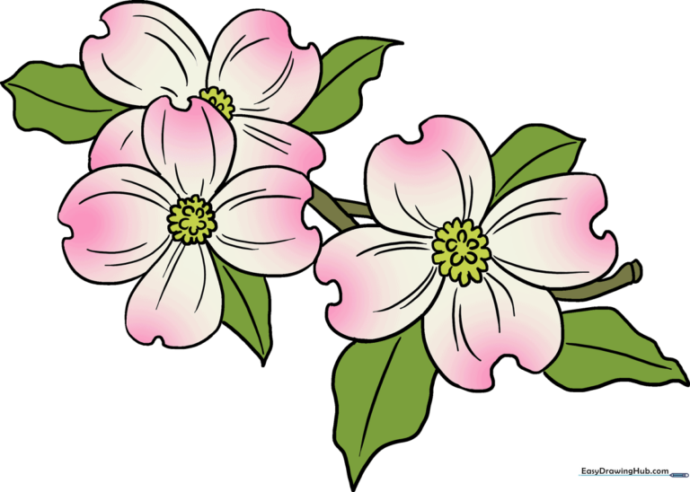 A finished, colorful illustration of three dogwood flowers on a branch, showcasing the final result of the tutorial.