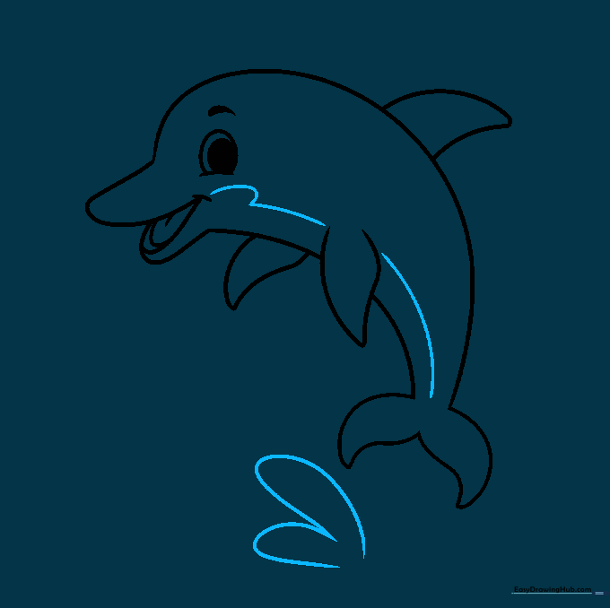 Dolphin with water splash details underneath