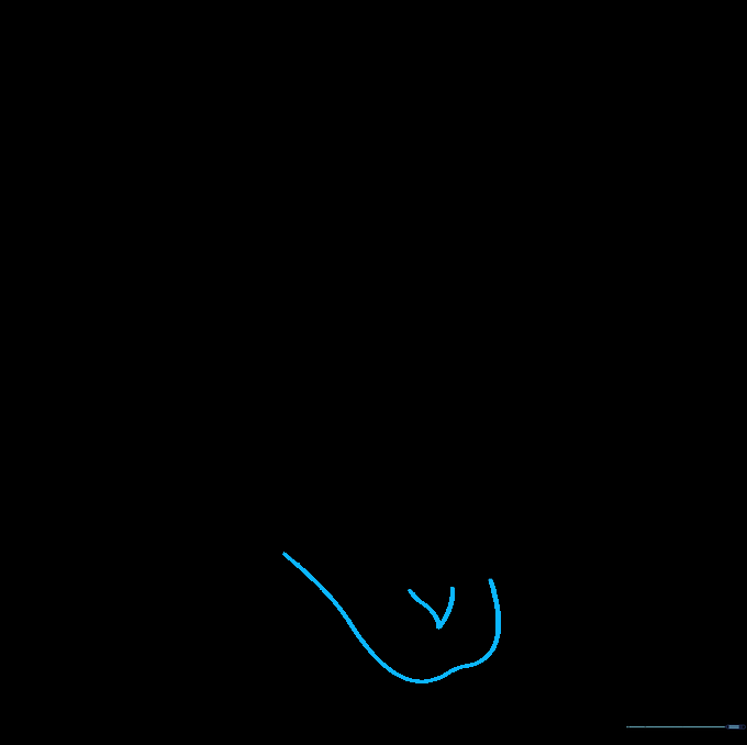 The beak interior showing a curved mouth line and a small tongue detail.