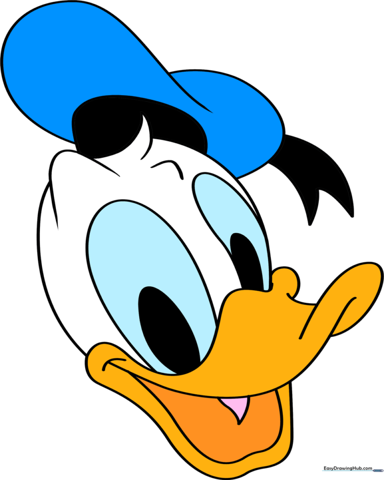 A vibrant, finished illustration of Donald Duck, perfect for inspiring young artists.